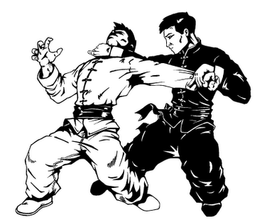 Kung Fu em Formosa - GO